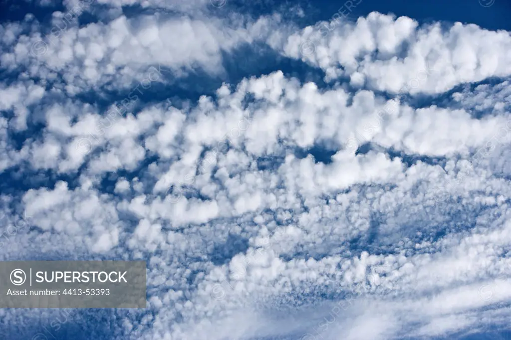 Cirrocumulus