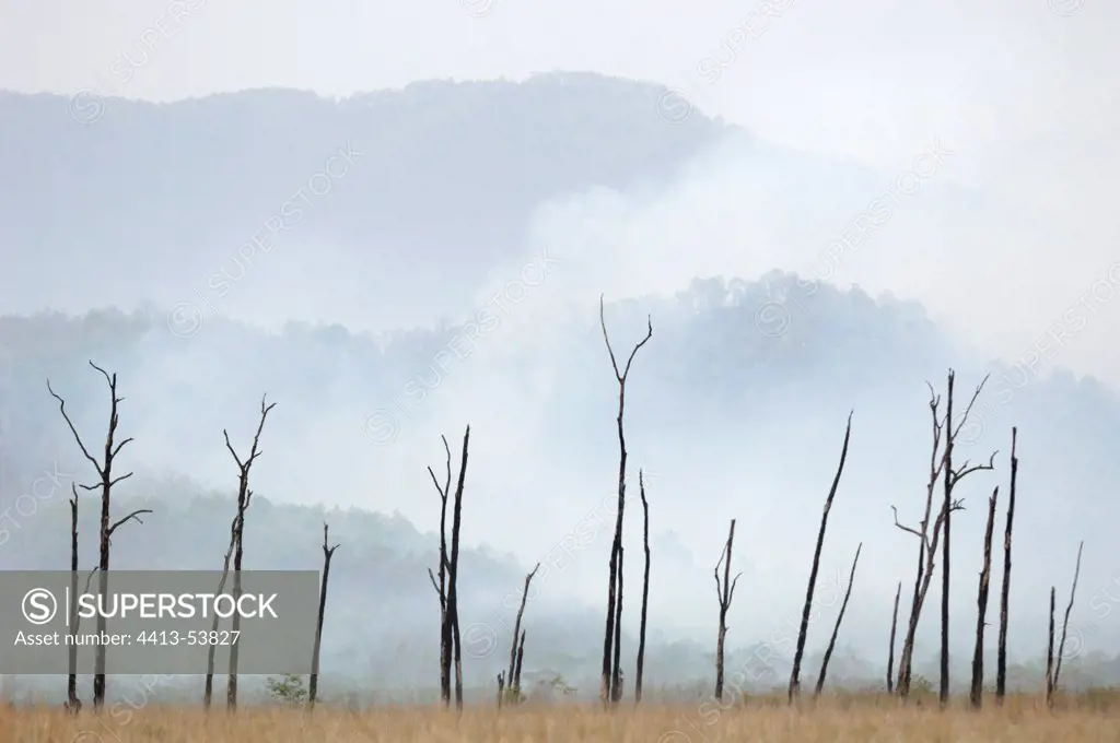 Fire on the ridges in the NP Corbett in May 2008