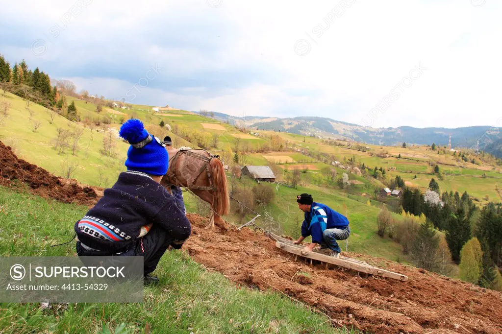 Child watching the fields work Apuseni Mountains
