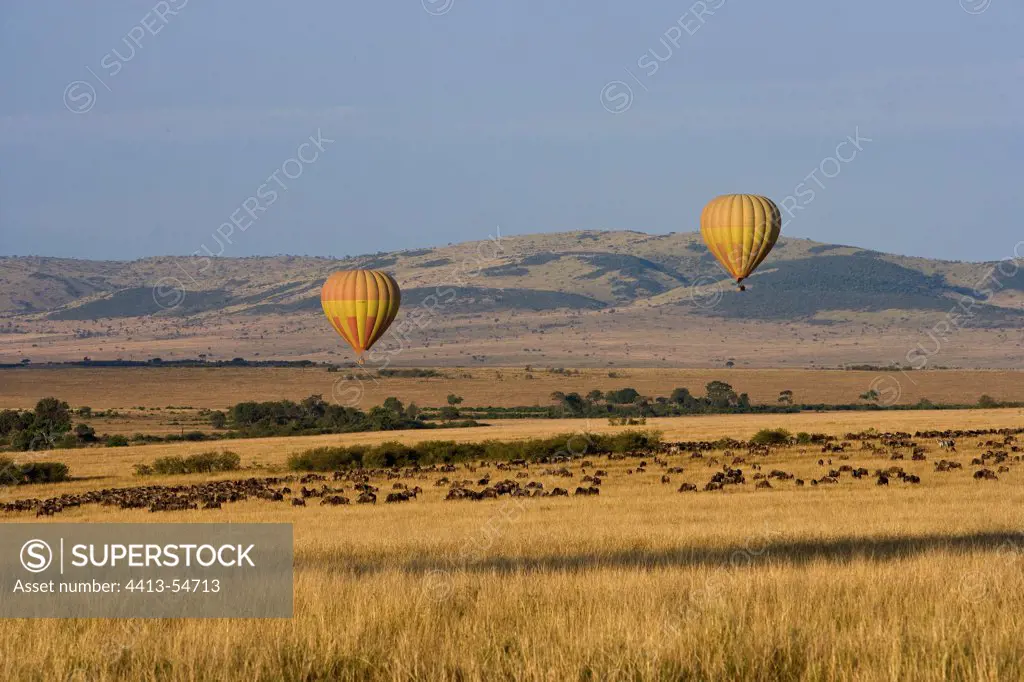 Hot air-balloons over the savanna Masai Mara Game Reserve