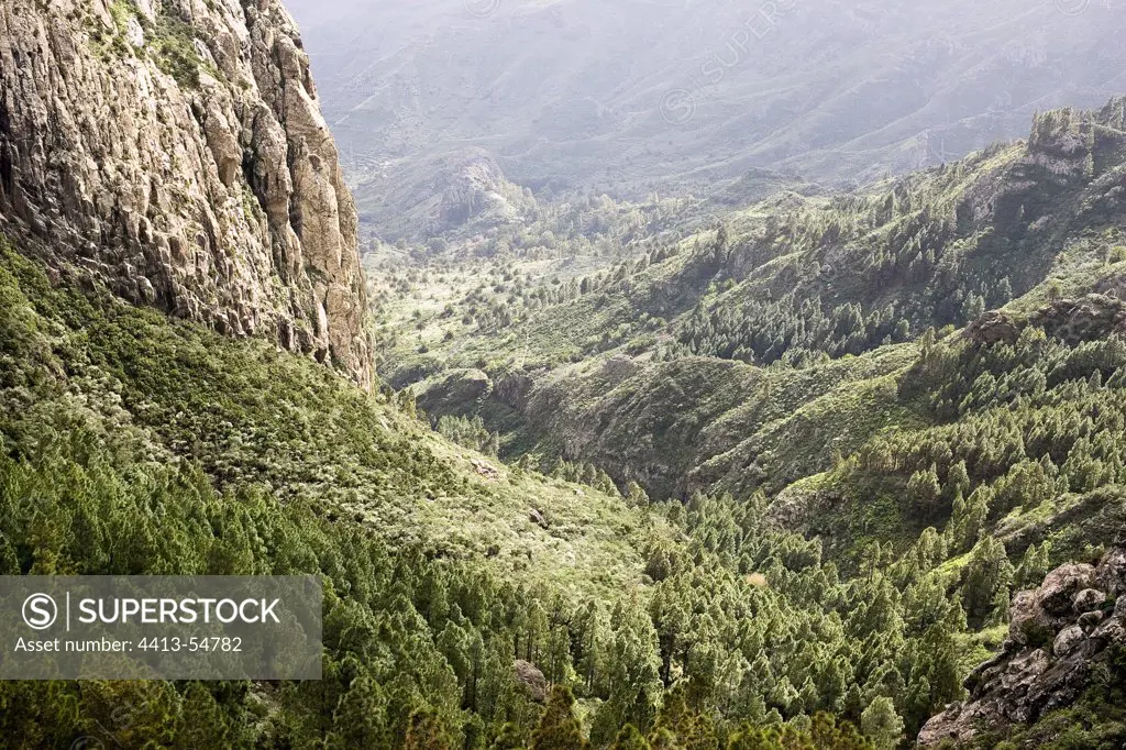 Mountains covered with vegetation La Gomera Canary