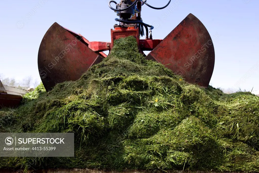 Open bucket crane above a pile of cut grass