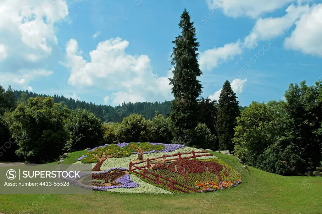 Parterre flower in a public garden Gerardmer Vosges