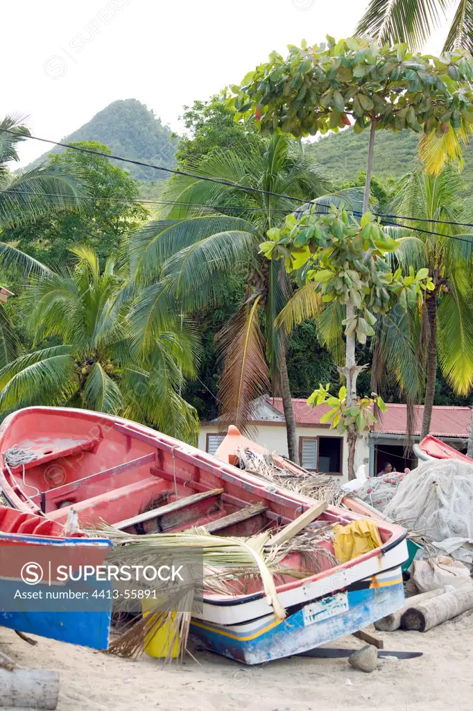 Boat at Plage de l'Anse à l'Ane Martinique Island