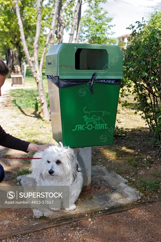 Dog near a dustbin to collect dog mess France