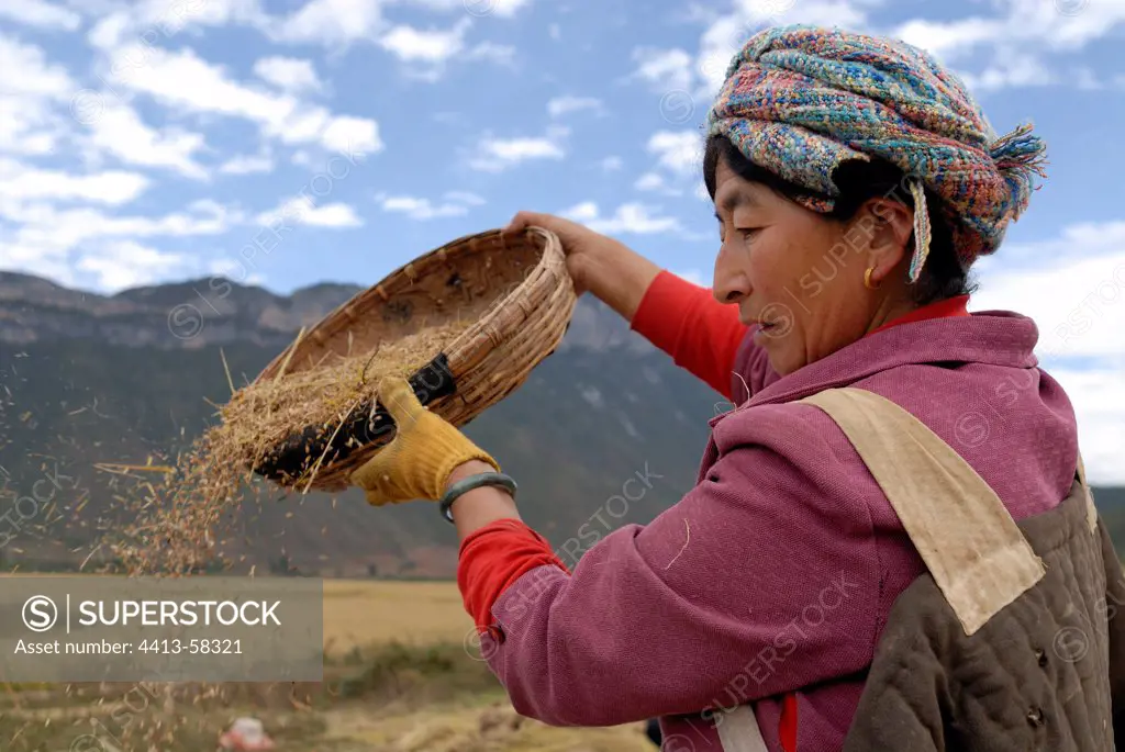 Moso woman winnowing rice in a village near Lake Lugu