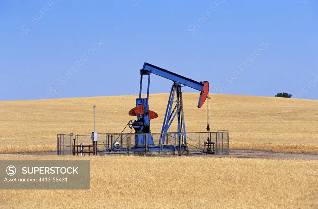 Oil wells in a field of grain SaskatchewanCanada