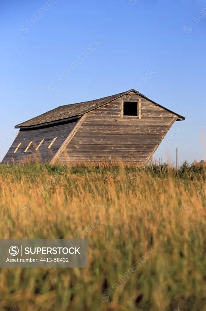 Old barn tilted by the prevailing winds SaskatchewanCanada