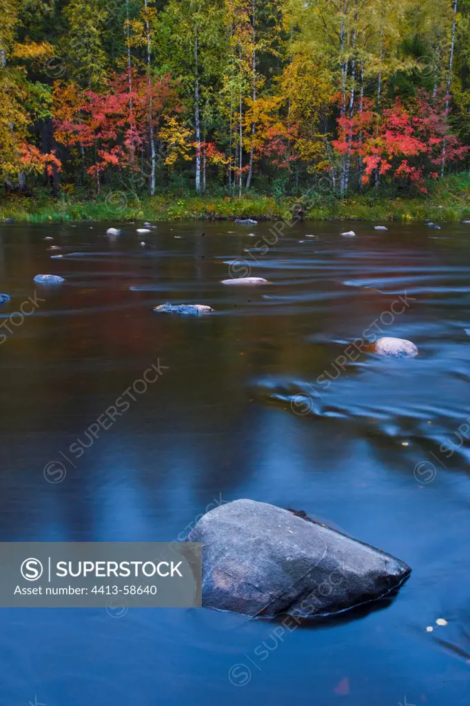 River in boreal forest in autumn Lapland Finland