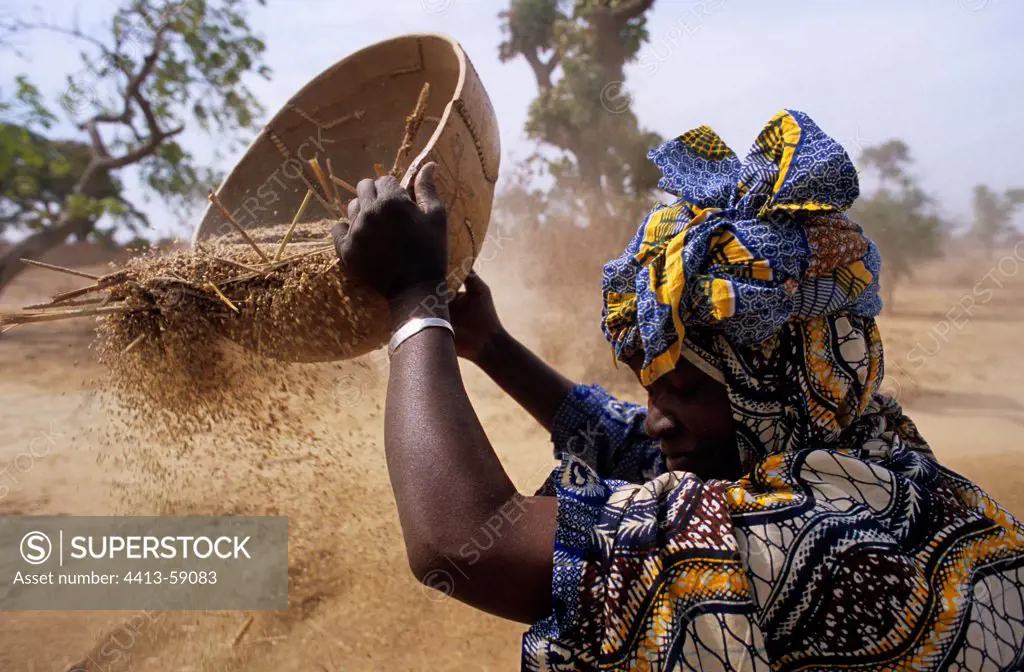 Woman winnowing the Mil Tieblena Mali