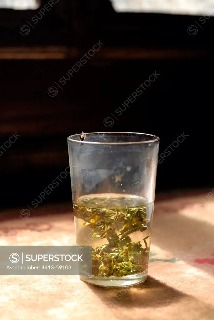 Glass Tea Yunnan China