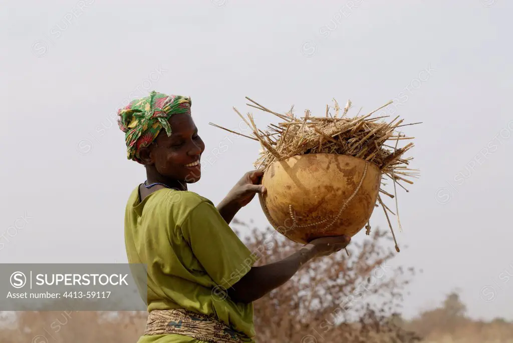 Woman winnowing the Mil Domon Region Segou Mali