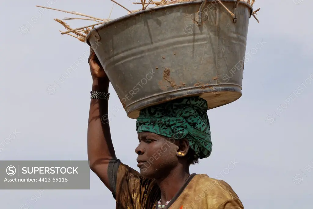 Woman carrying a bowl of millet Domon Region Segou Mali