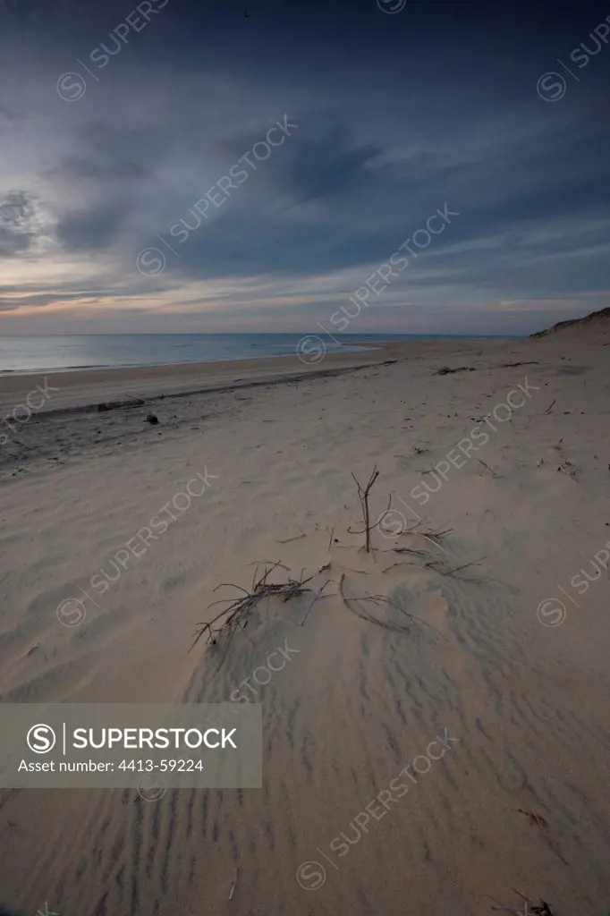 Coastal dune at twilight on the Arvert Peninsula France