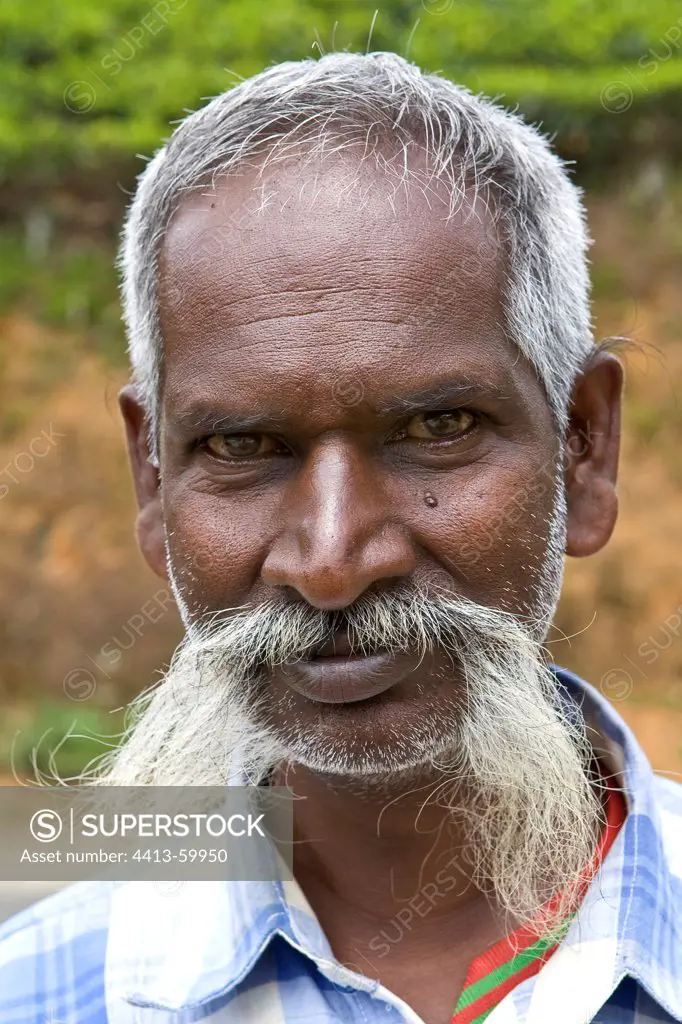 Portrait of moustached man Tea Plantations Sri Lanka