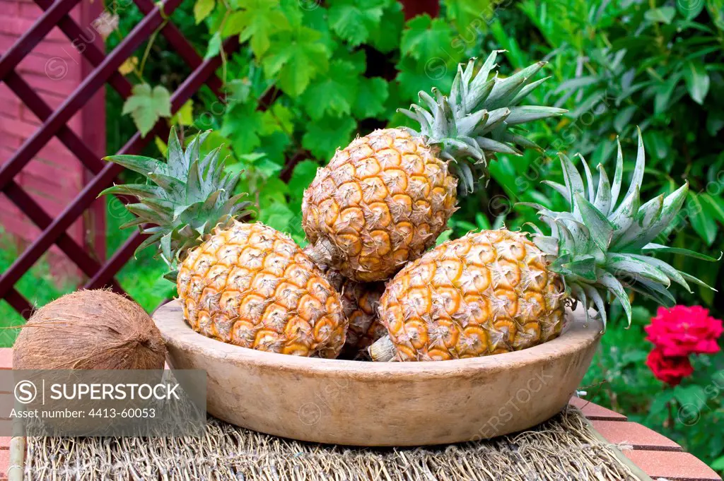 Pineapples and coconut on a garden table