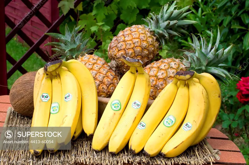 Organic bananas and exotic fruits on a garden table