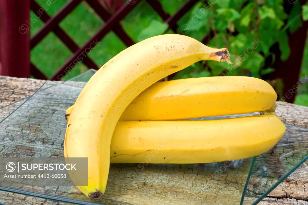 Bananas on a garden table