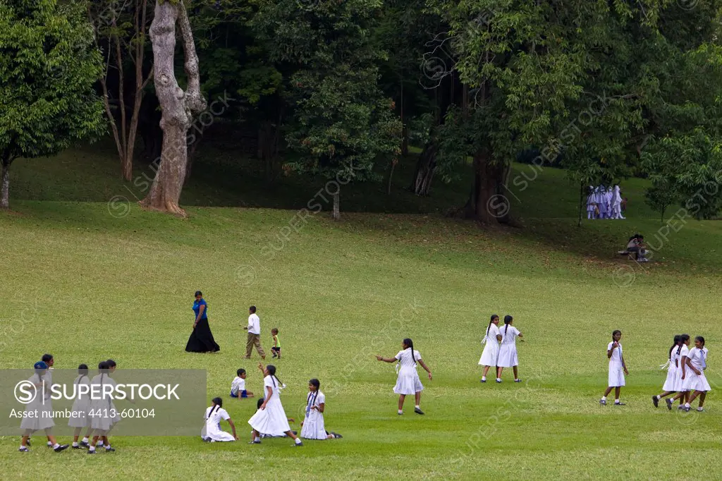 Schoolgirls walk in Peradeniya Botanical Garden Kandy