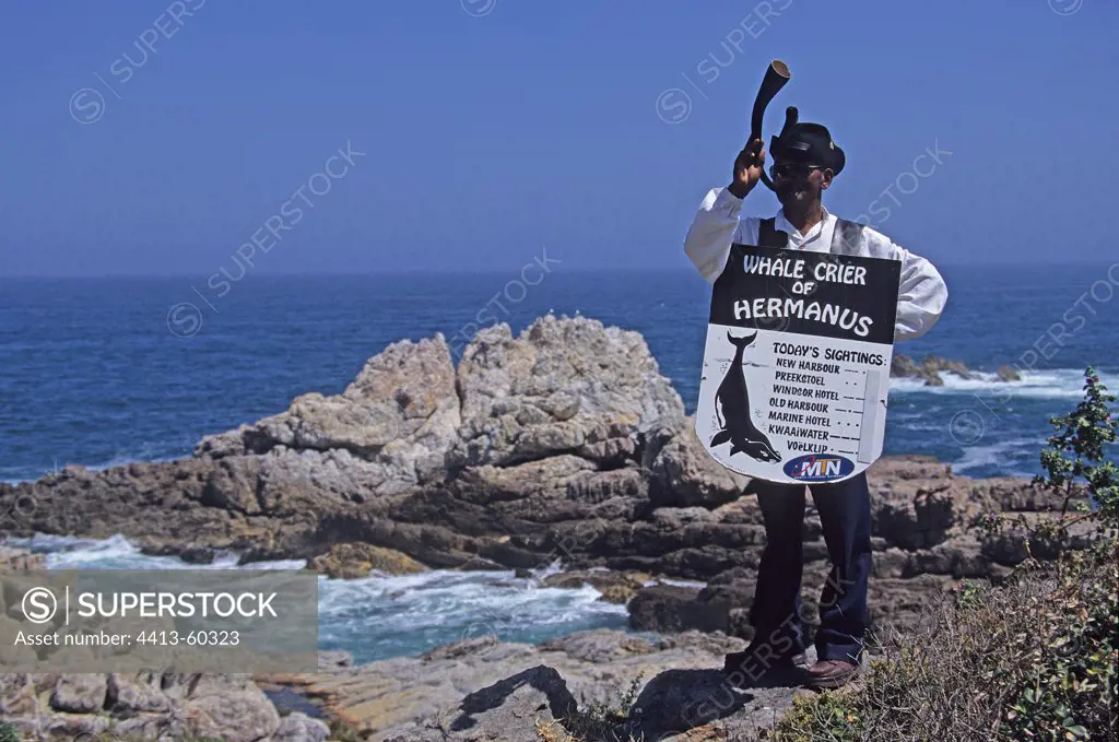 The Whale Crier of Hermanus South Africa