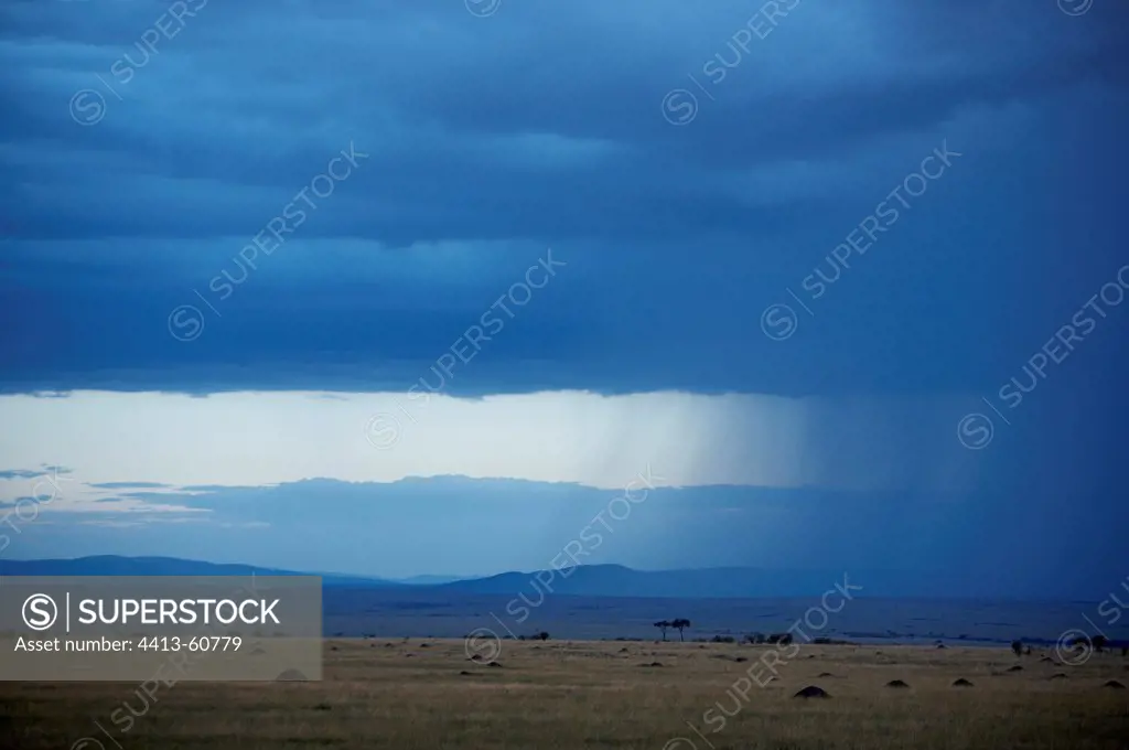 Rain on the Masai Mara National Reserve Kenya
