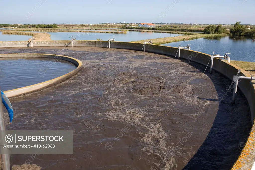 Decanting basin in Ré Island water-treatment plant France