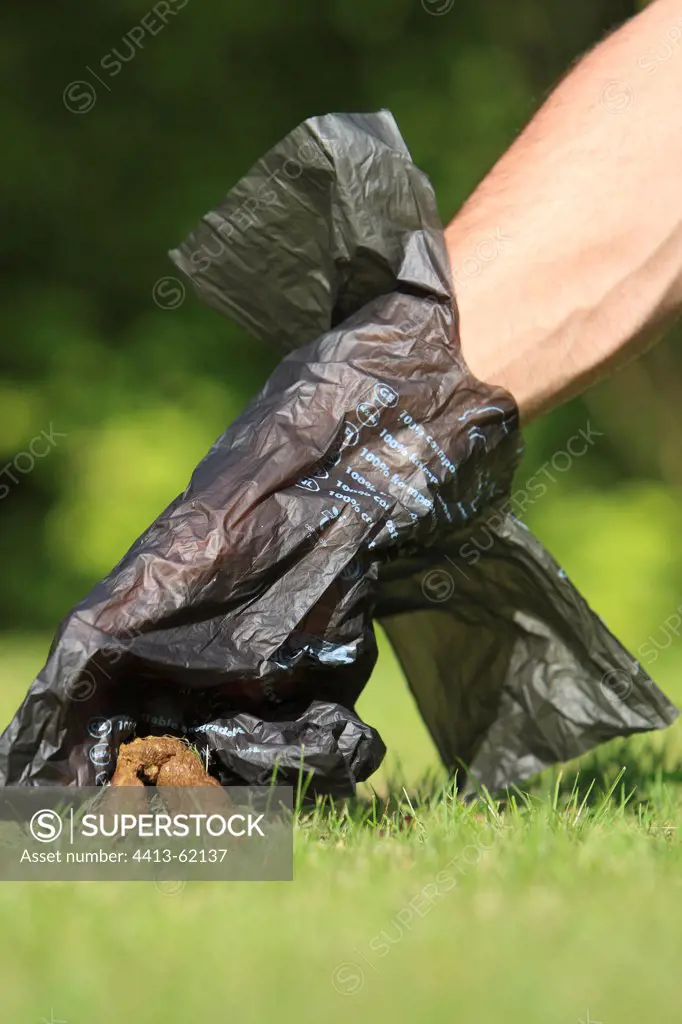 Collecting dog excrement with a plastic bag France