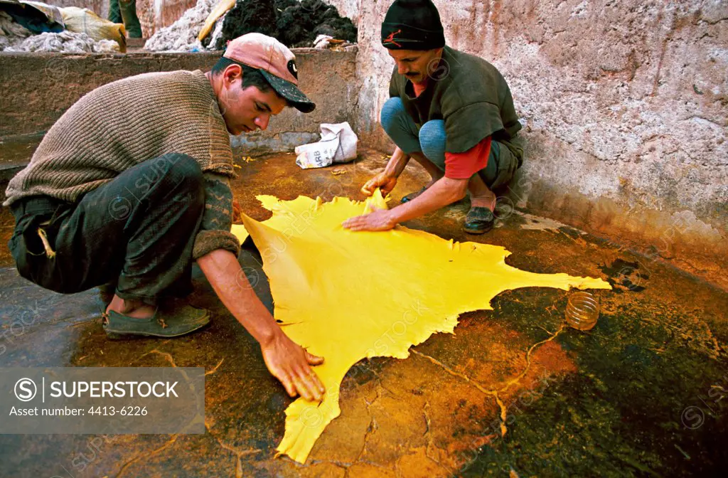 Tanners oiling a hide Fes Morocco