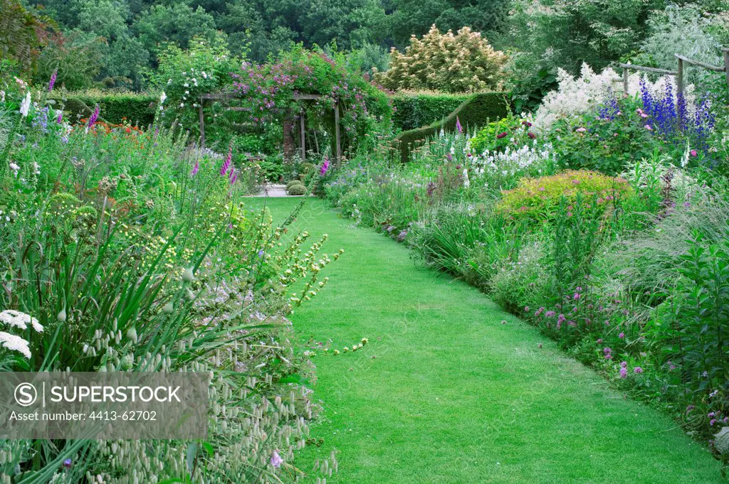 Mixed-border in a garden in summer