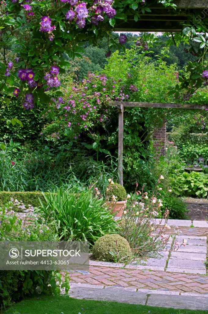 Perennials in bloom on a brick garden terrace with pergola