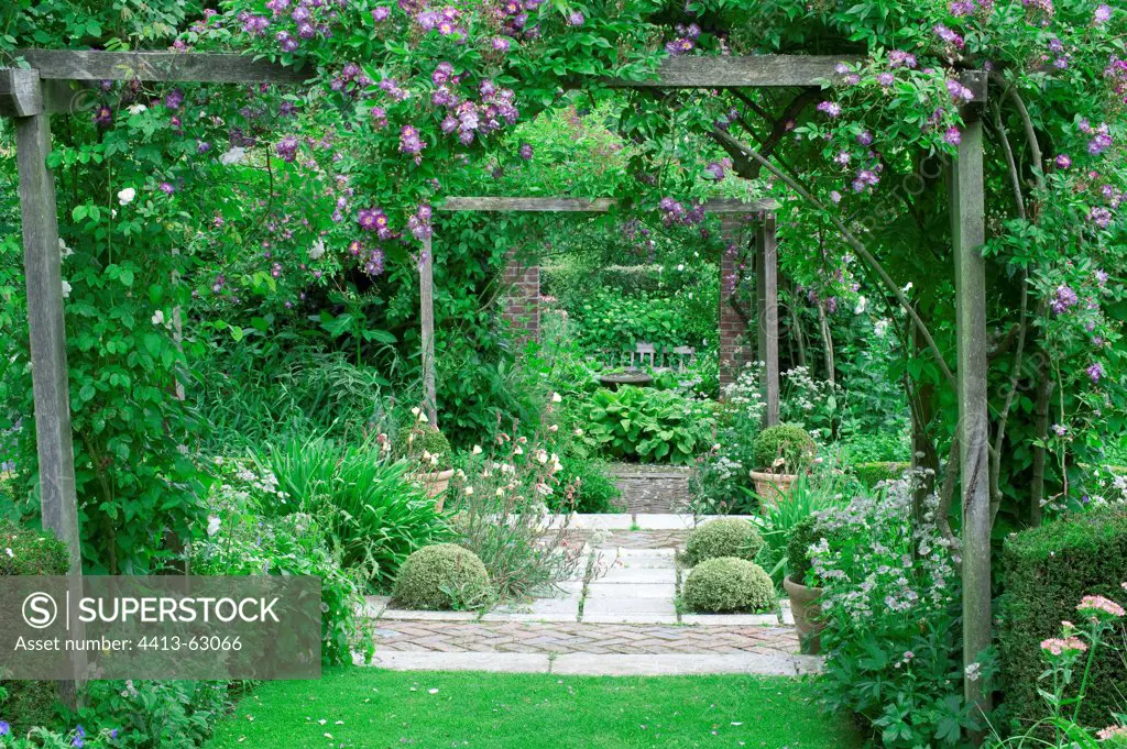 Perennials in bloom on a brick garden terrace with pergola