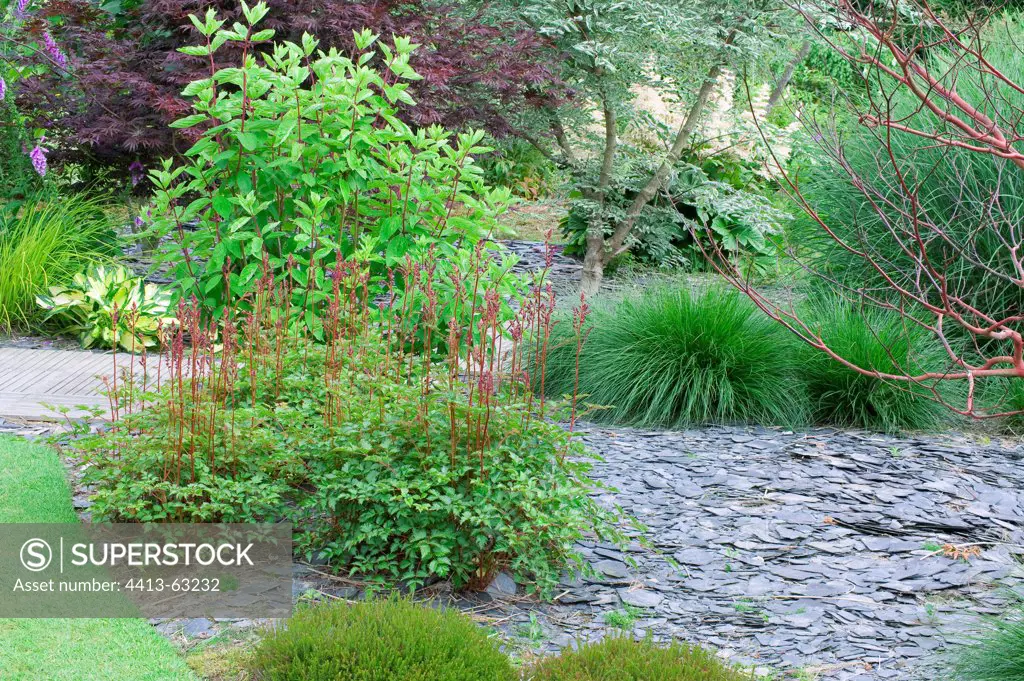 Crushed slate mulsh in a contemporary Japanese garden