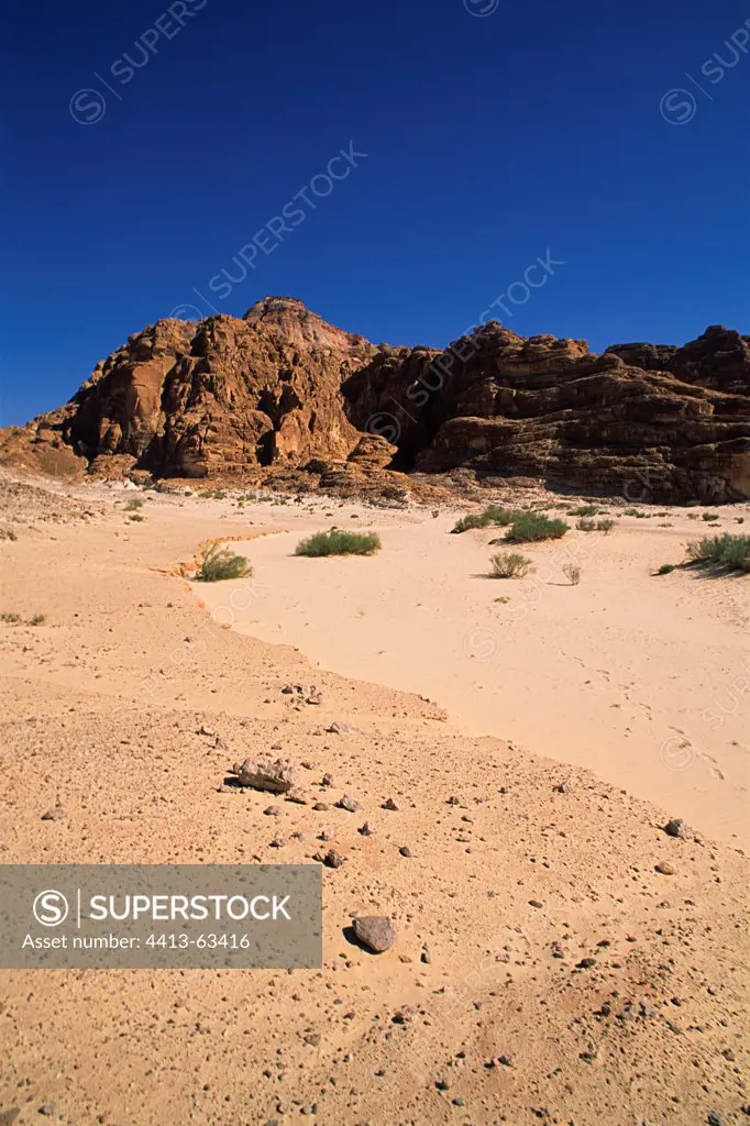 Landscape in the Sinai desert Eastern Egypt