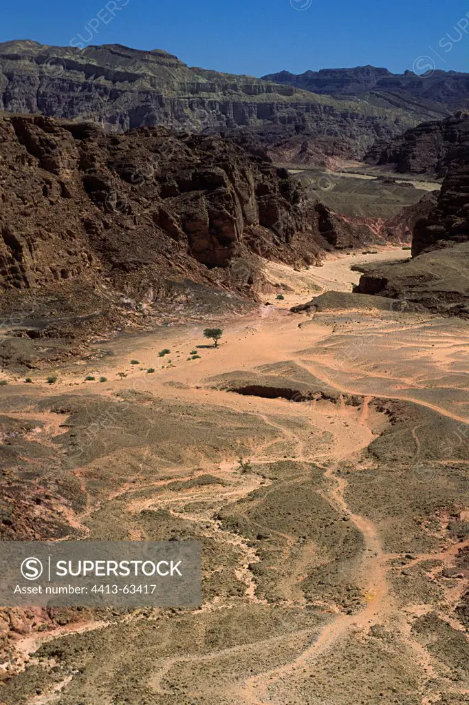 Landscape in the Sinai desert Eastern Egypt