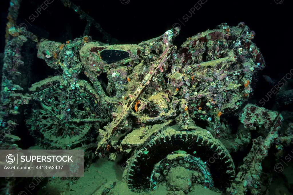 English motorcycles in the Thistlegorm wreck Red Sea