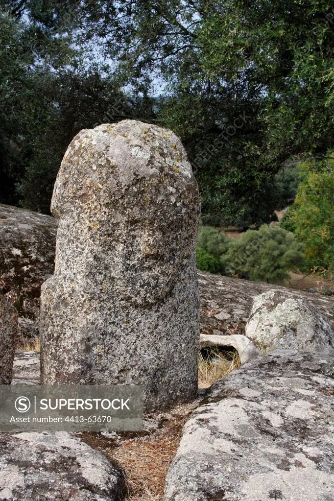 Face carved into a statue-menhir Filitosa Corsica France