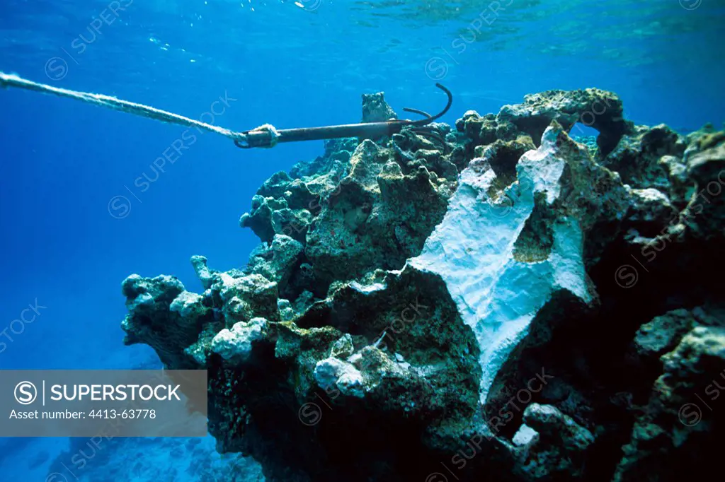 Destruction of corals by anchoring in the Red Sea Egypt