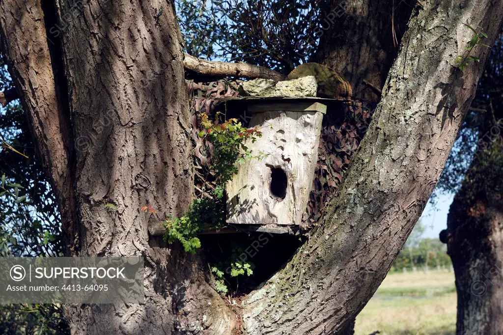 Nestbox for owl Marquenterre Baie de Somme France