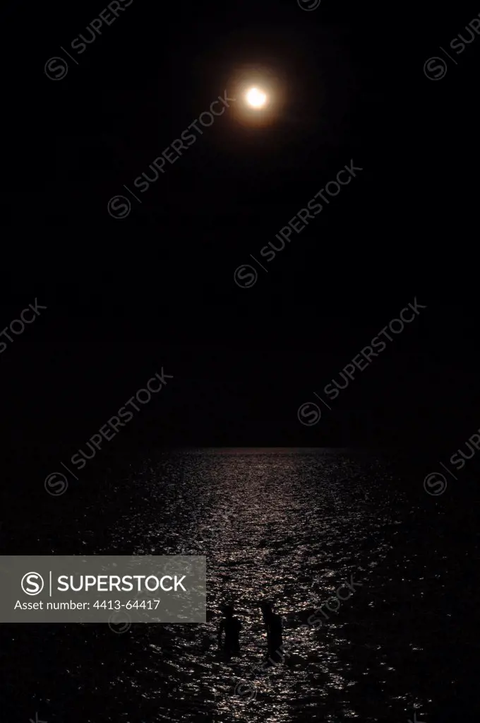 Bath sea off annular eclipse of the Sun JavaIndonesia