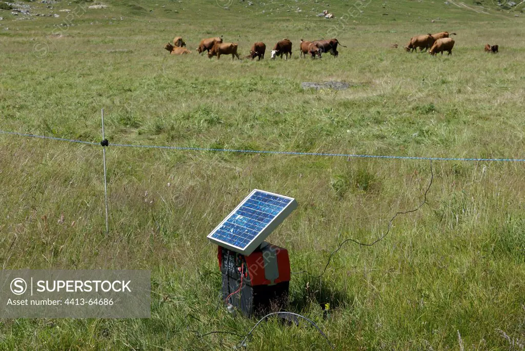 Battery for an electric fence powered by solar panel France