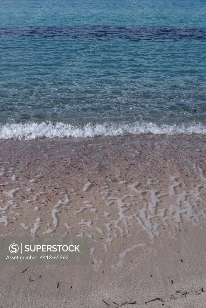 Wave on a sandy beach Corsica France