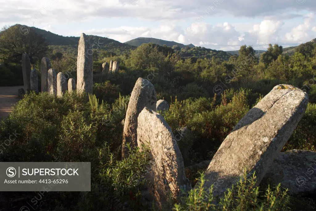 Alignment of megalithic Palaggiu Corsica France