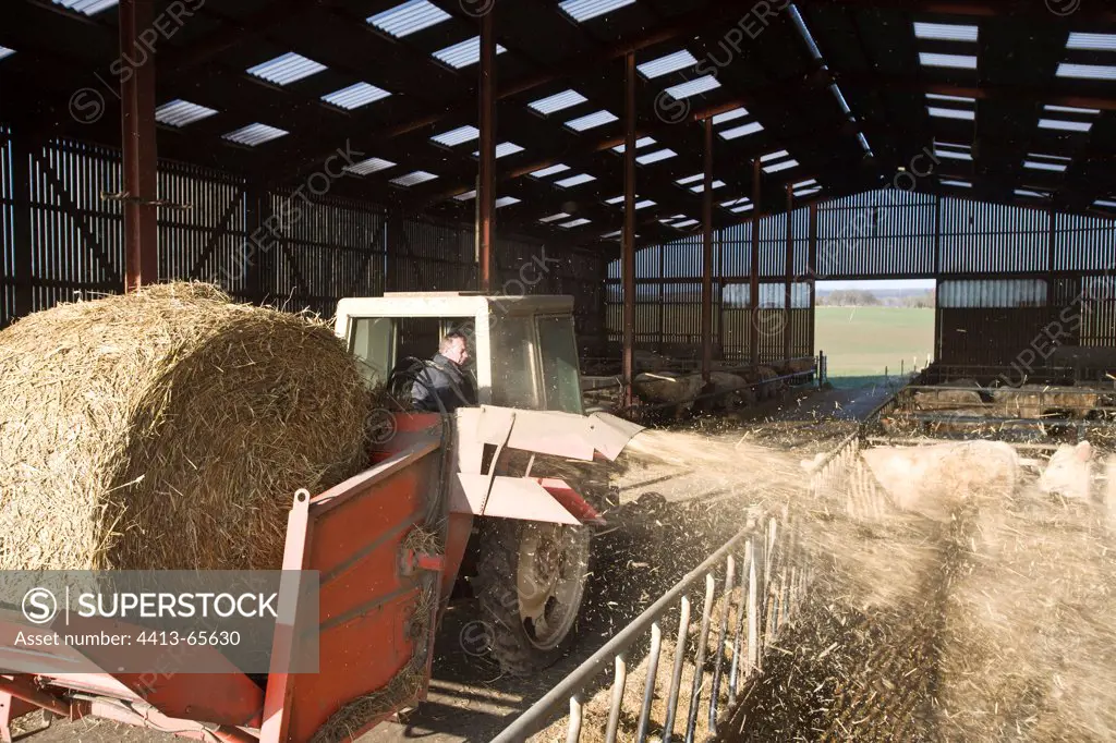 Agricultural machine distributing straw into cattle boxes