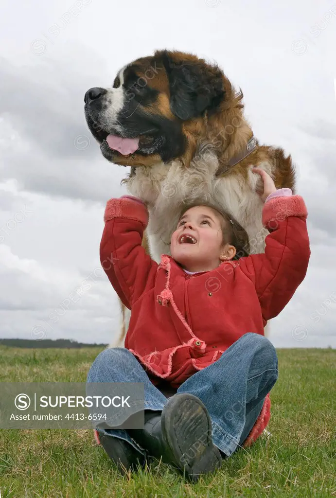 Young girl in grass under the head of its Saint Bernard dog
