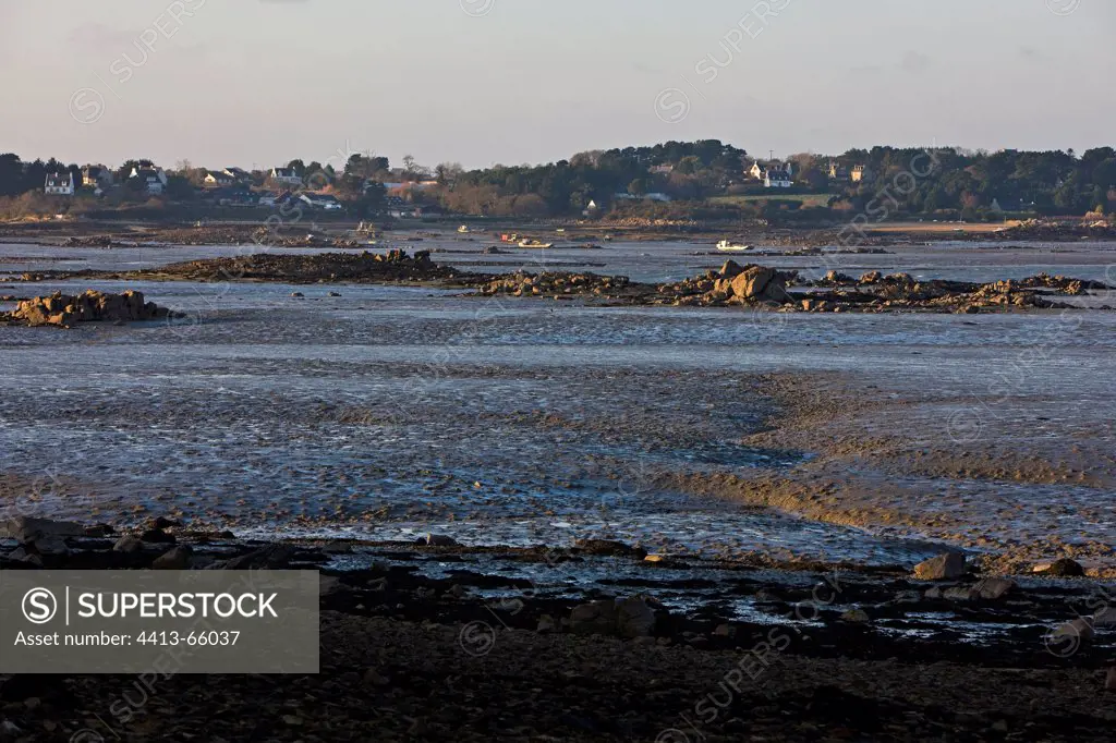 Mudflat at low tide Côte d'Armor France