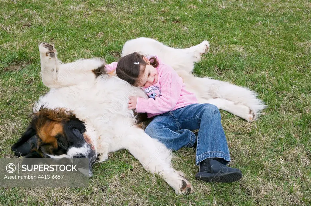 Young girl caressing her Saint Bernard laid down in grass