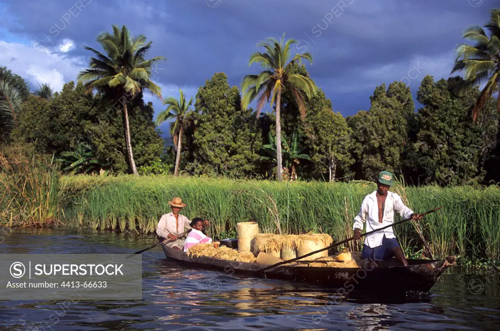 Farmers in dugout on a canal Maroantsetra Madagascar