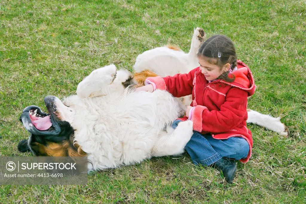 Young girl caressing her Saint Bernard laid down in grass
