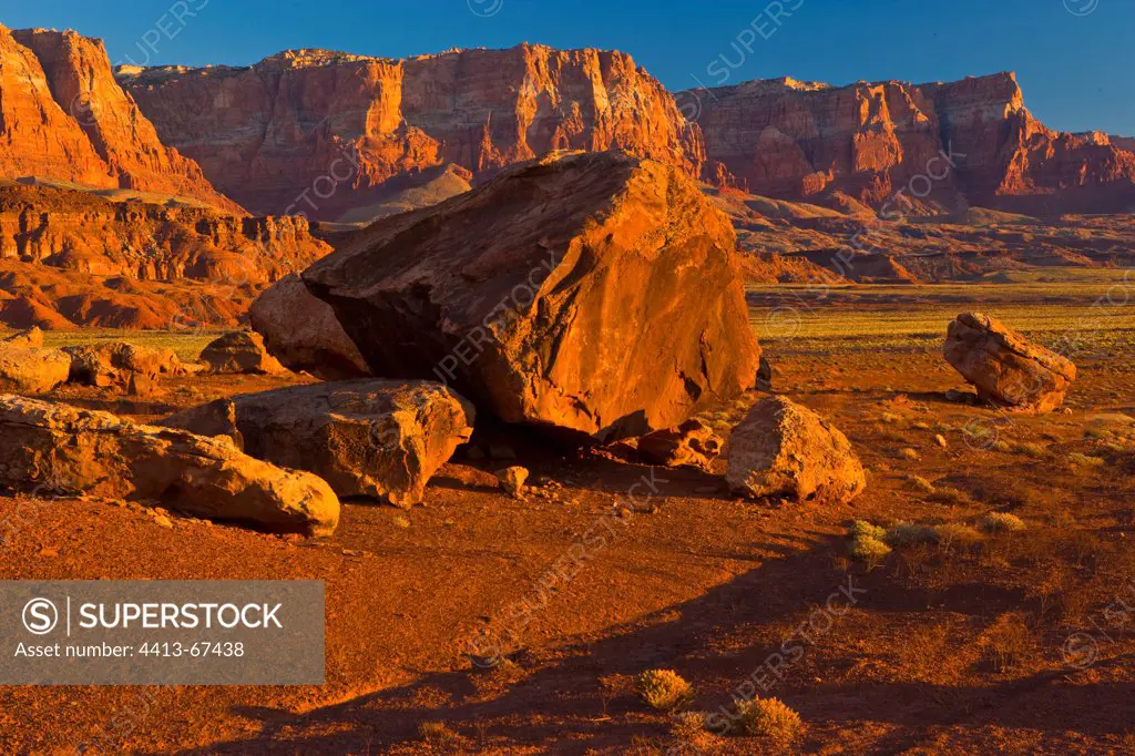Vermilion Cliffs National Monument Arizona USA
