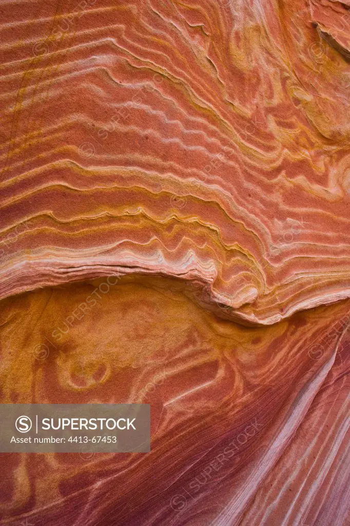 The Wave Staircase Escalante National Monument Utah